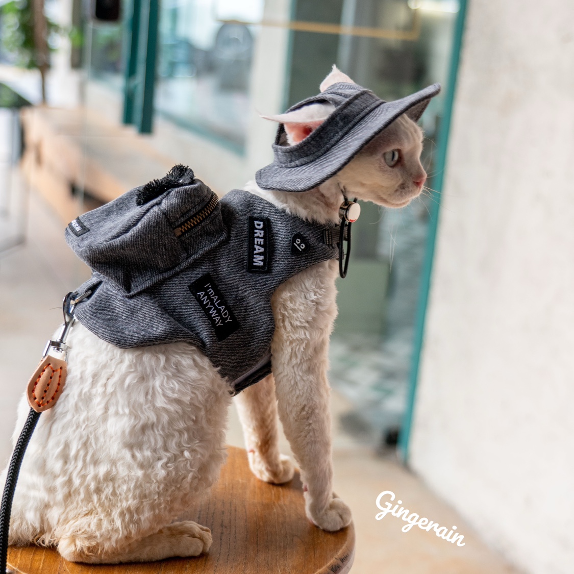 เสื้อกั๊กสำหรับน่ารักสีดำแมว g - Luxury Bags Cute บทวิจารณ์และราคา
